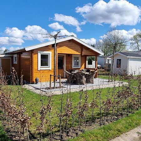 Nieuw - Luxe Blokhut Chalet In Bosrijke Omgeving Anloo エクステリア 写真