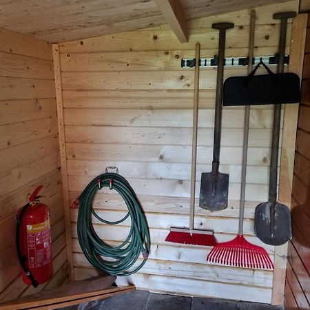 Nieuw - Luxe Blokhut Chalet In Bosrijke Omgeving Anloo エクステリア 写真