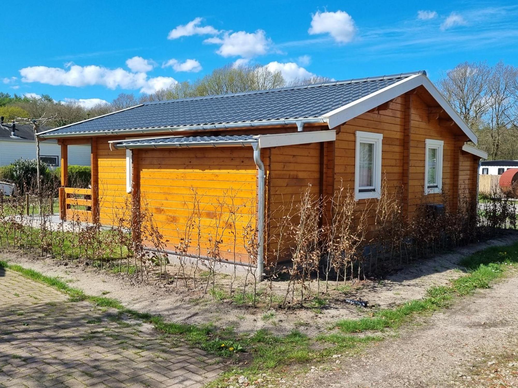 Nieuw - Luxe Blokhut Chalet In Bosrijke Omgeving Anloo エクステリア 写真